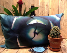 Load image into Gallery viewer, Cactus Pillow Agave
