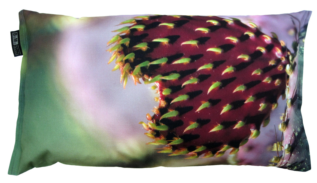 Cactus Pillow Valentines Day Heart